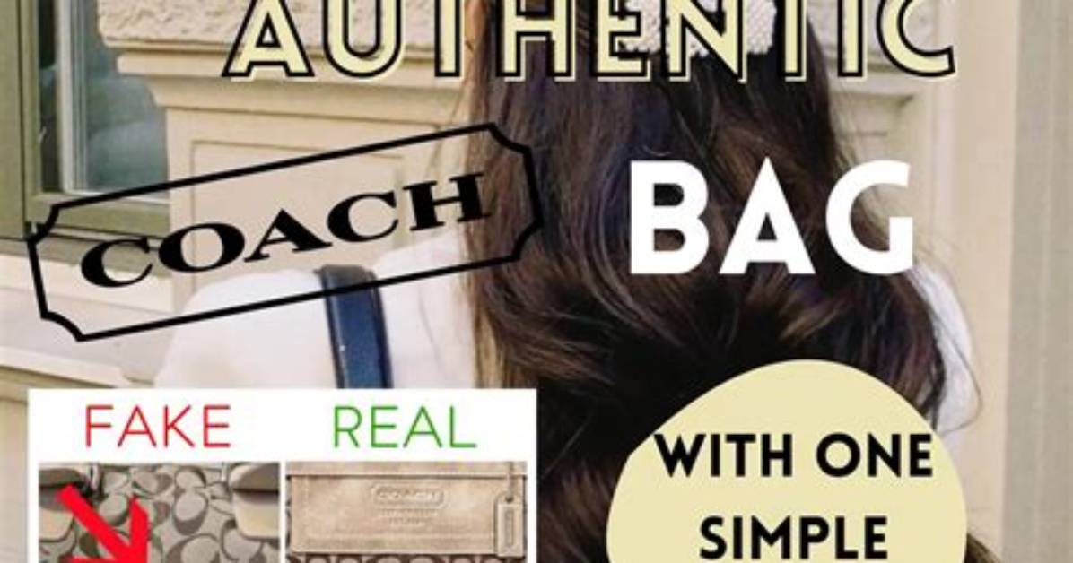 Spotting a Fake Coach Dog Collar Complete Authentication