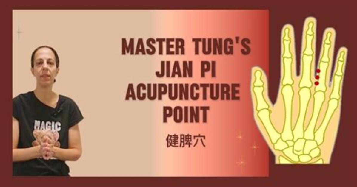 Taono Pigatsurunto Bokeru Shun Jian Qian Pi Wu Liuno Bao Ding Shou Shunto Tangmuki Shi Yanno Jian Zheng Jie