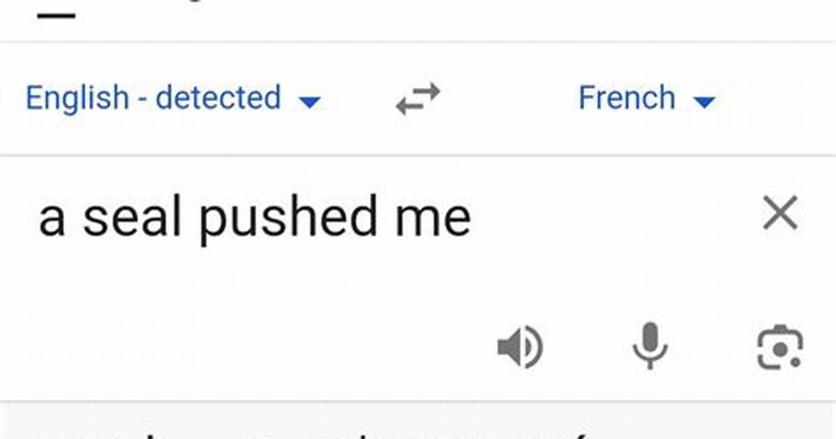 The Baby Seal Pushed Me Yesterday French Meme Explained Definition Audio And