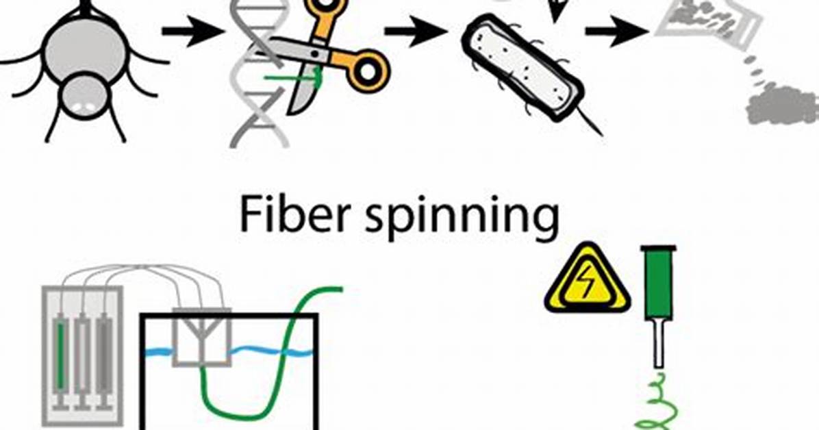 The Biotextile Evolution How Medical Silk Fibers Entered