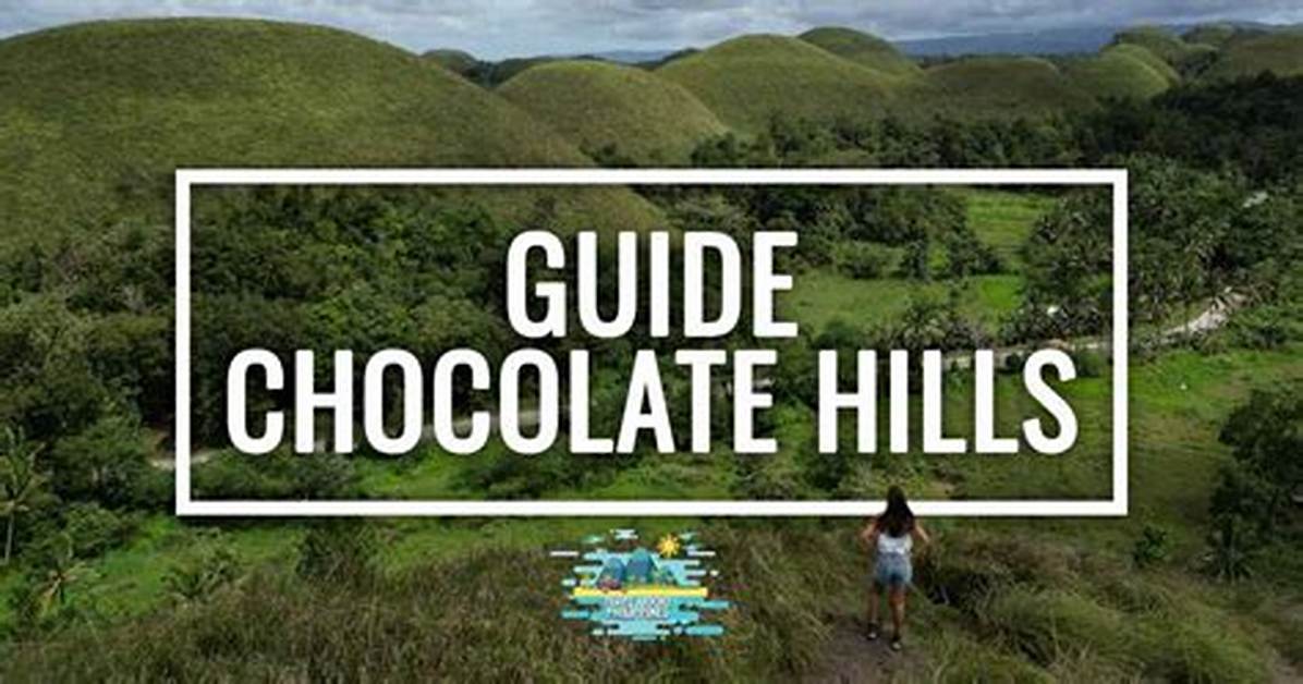 The Complete Guide to the Hills Amice Remix Producer Profile Bpm And