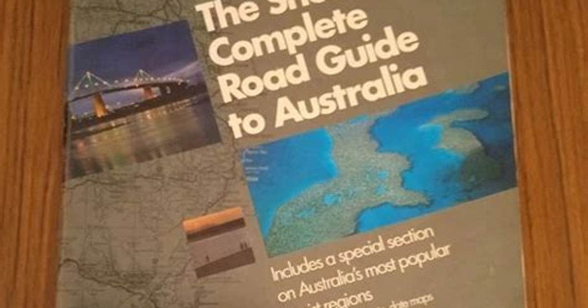 The Complete Guide to the Shell Shocked Meme Meaning Origins and Top