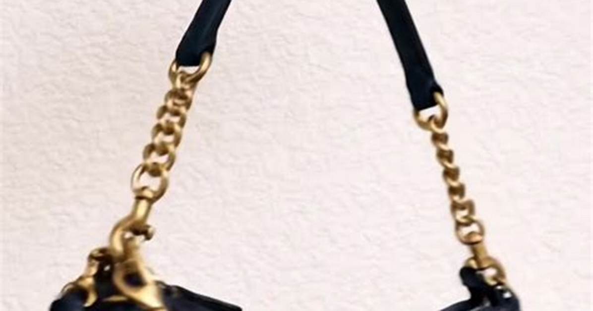 The Coraline Coach Bag Phenomenon How a Viral Sensation Took Over