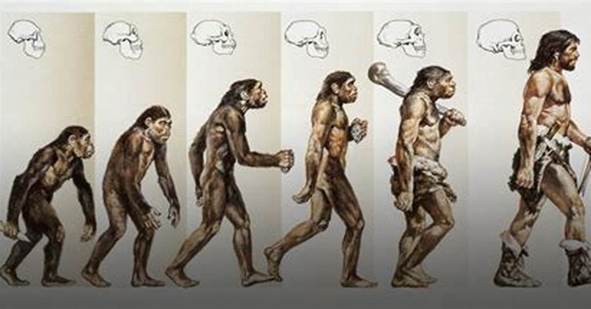 The Evolution of Body Image in China a Decade of Transformation from 2015 To