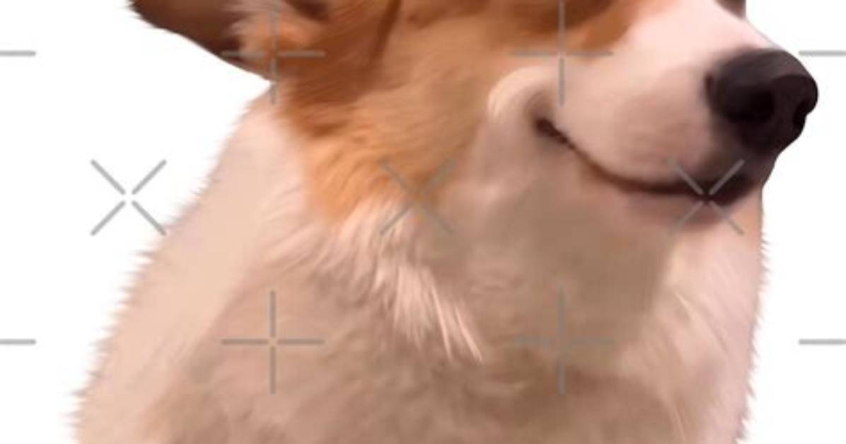 The Evolution of the Smiling Dog Meme from Early Internet Lore to 2026
