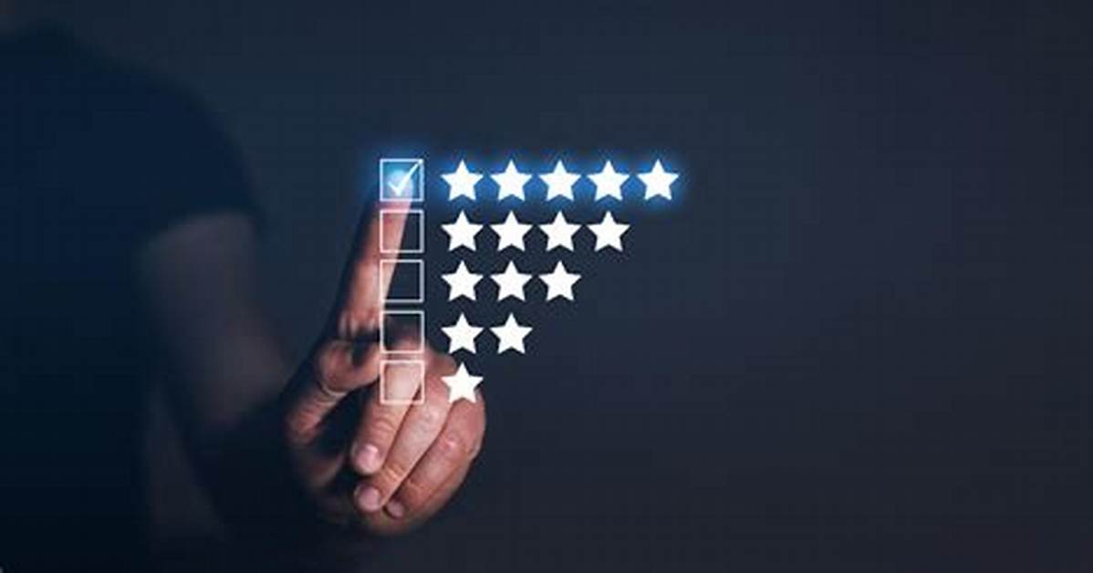 The Industry Evolution Tracking Bbw Category Honors Across Key