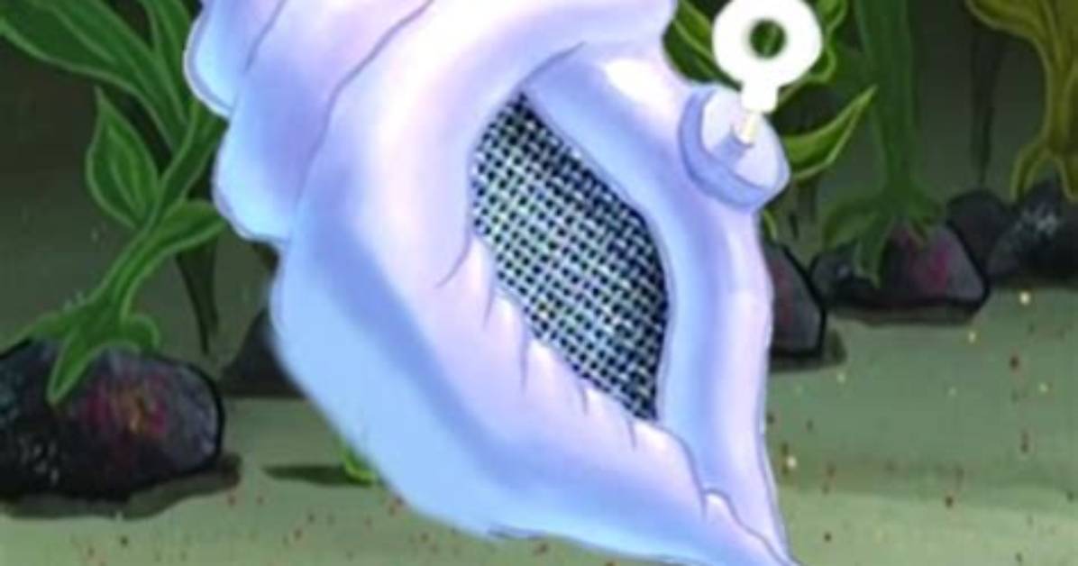 The Magic Conch Shell Fact Check Origin Episode Trivia and Common Fan