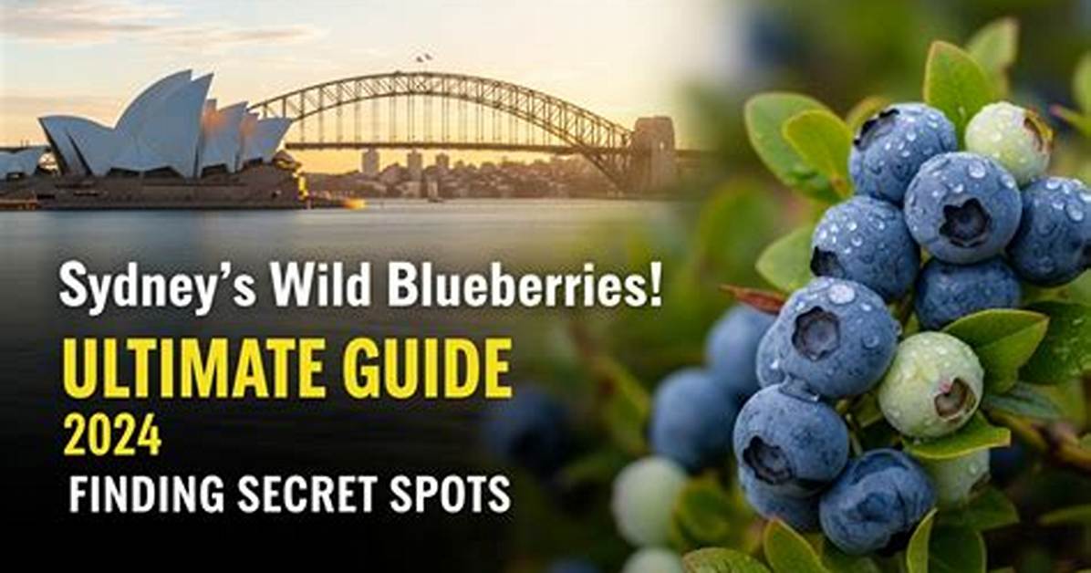 The Ultimate Guide to Wild and Wonderful West Virginia History Culture And