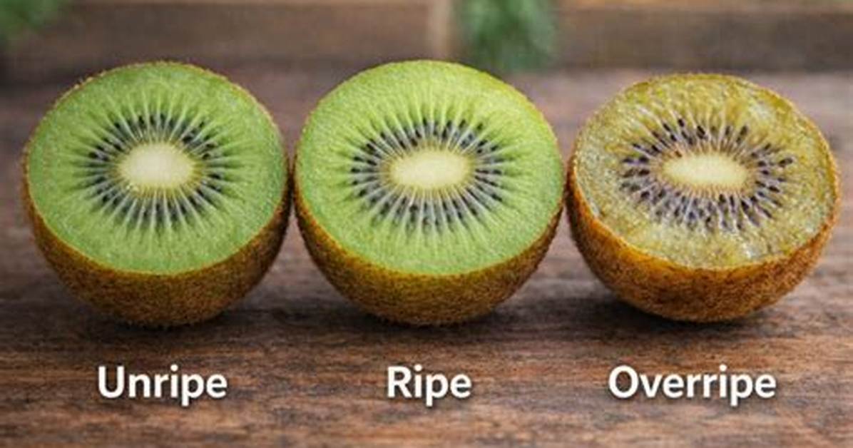 The Ultimate Kiwi Guide Buying Ripeness Testing And