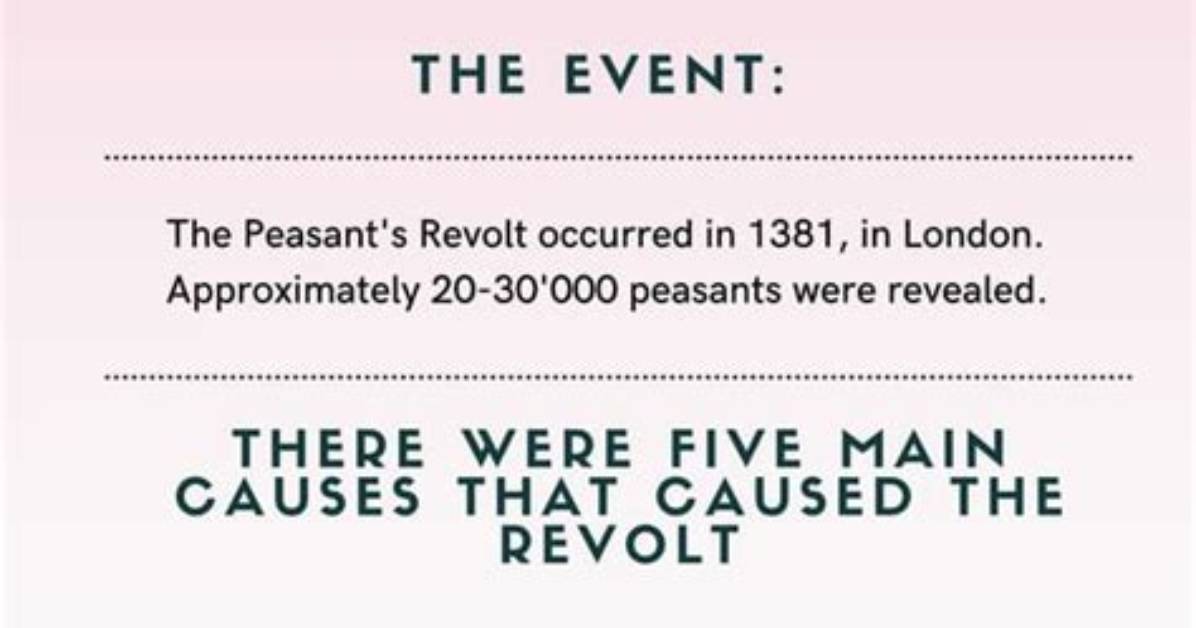 Timeline of a Fan Revolt How Why Is He Lying Took Over
