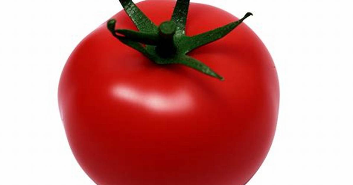 Tomato No
