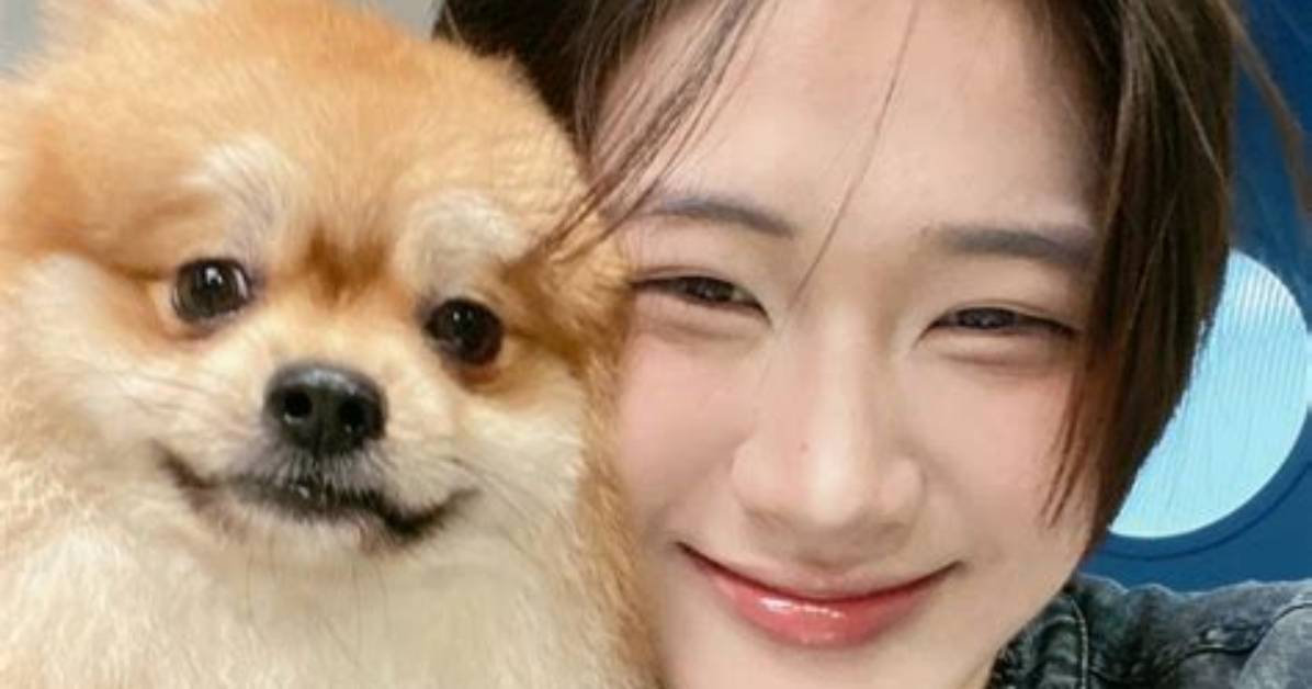 Tomatotokyuurino Shibe Hewasehang Rong Yangwo Huaisanai Shibe Fangno Zhen Xiangwo Che Di Jie
