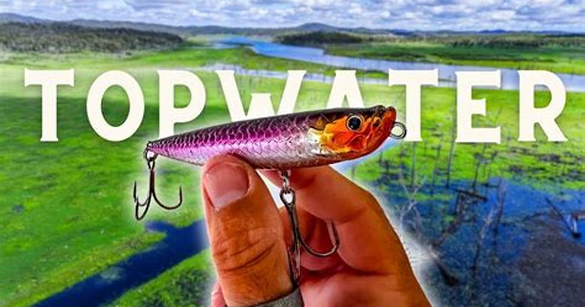 Topwater Strike Test Visible Proof Showing Why Braided Line Triggers More