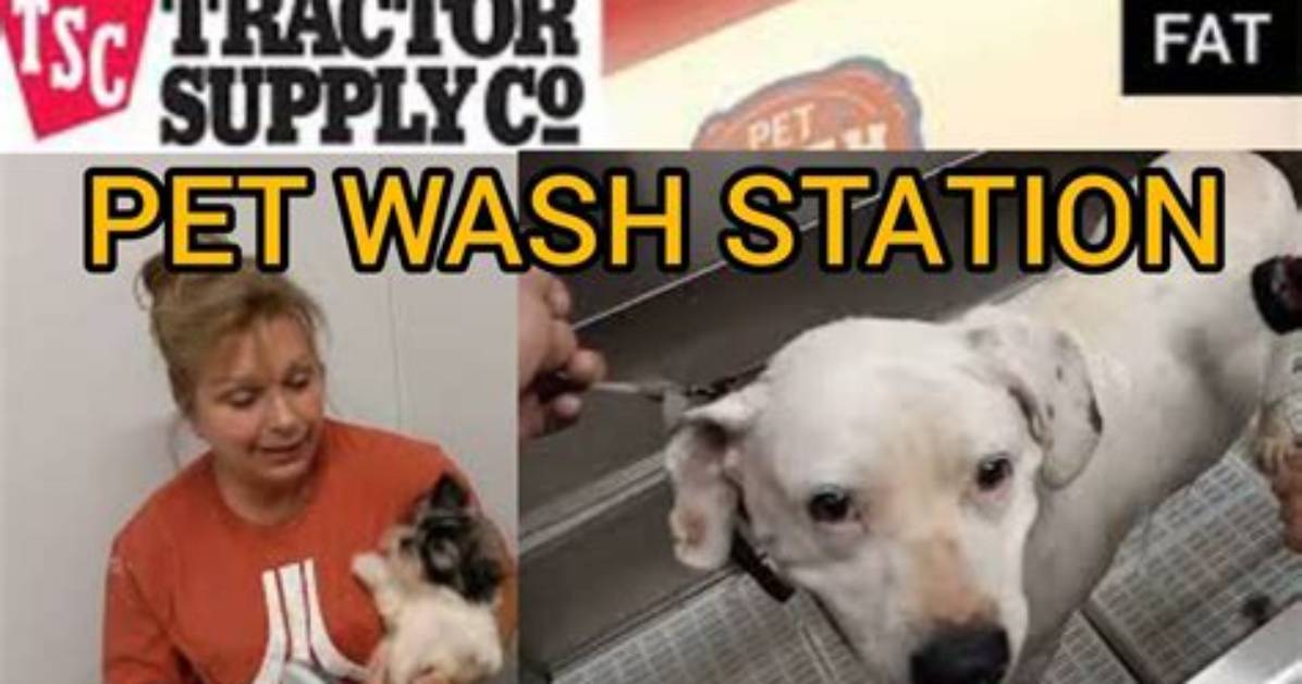 Tractor Supply Dog Wash Latest Updates and Full