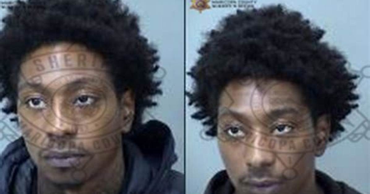 Twin Tiktok Stars Arrested in Dog Park Sting Shocking