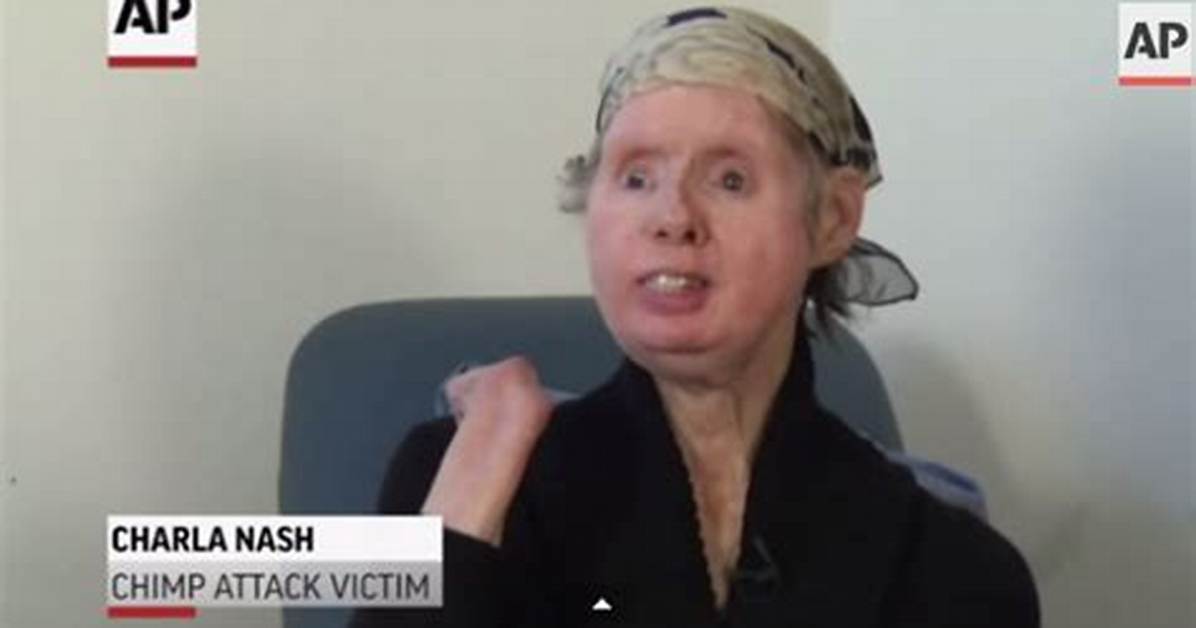 Unpacking the Charla Nash Dispatch Audio Verified Transcripts And