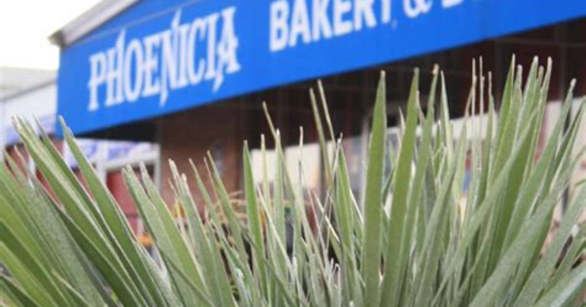 Visiting Phoenicia Bakery Deli Essential Guide to Menus Hours and Top