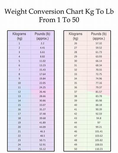 What Does 67.5 Kilograms Actually Mean in Pounds? the Shocking Real-World Benchmark