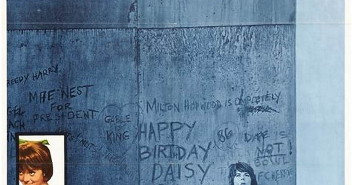 What Happened to Petite Daisy Inside the Heartbreaking Shelter Video