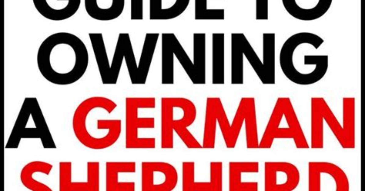 What Is German Time the Ultimate Guide to Time Zones Hours And