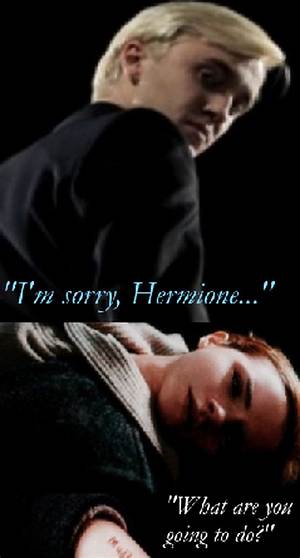 When Does Draco Call Hermione a Mudblood? the Scene, Chapter, and Meaning Explained
