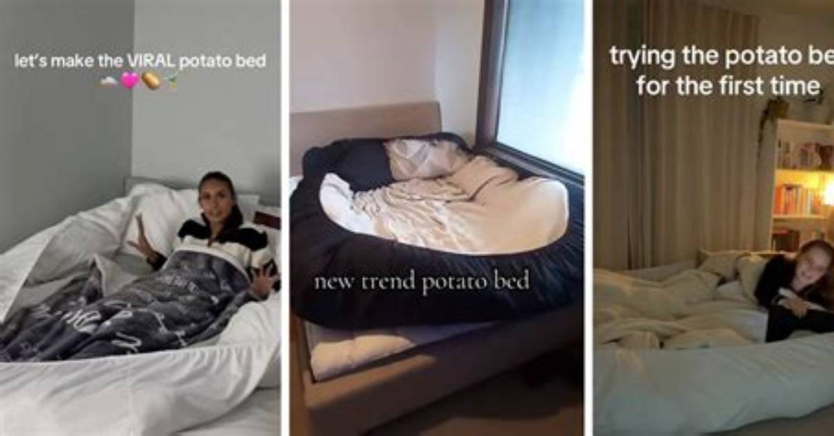 Which Bed You Sleeping in the Viral Anthem Taking over Feeds and Why It Hits So