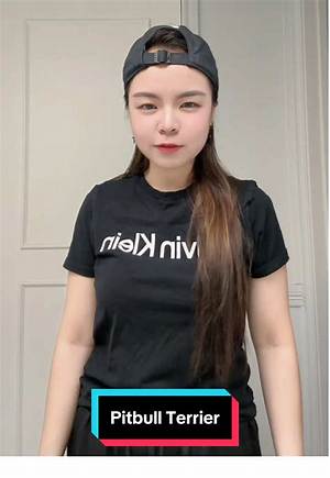 Why the Pitbull Terrier Trend on Tiktok Is Sparking Urgent Safety Warnings