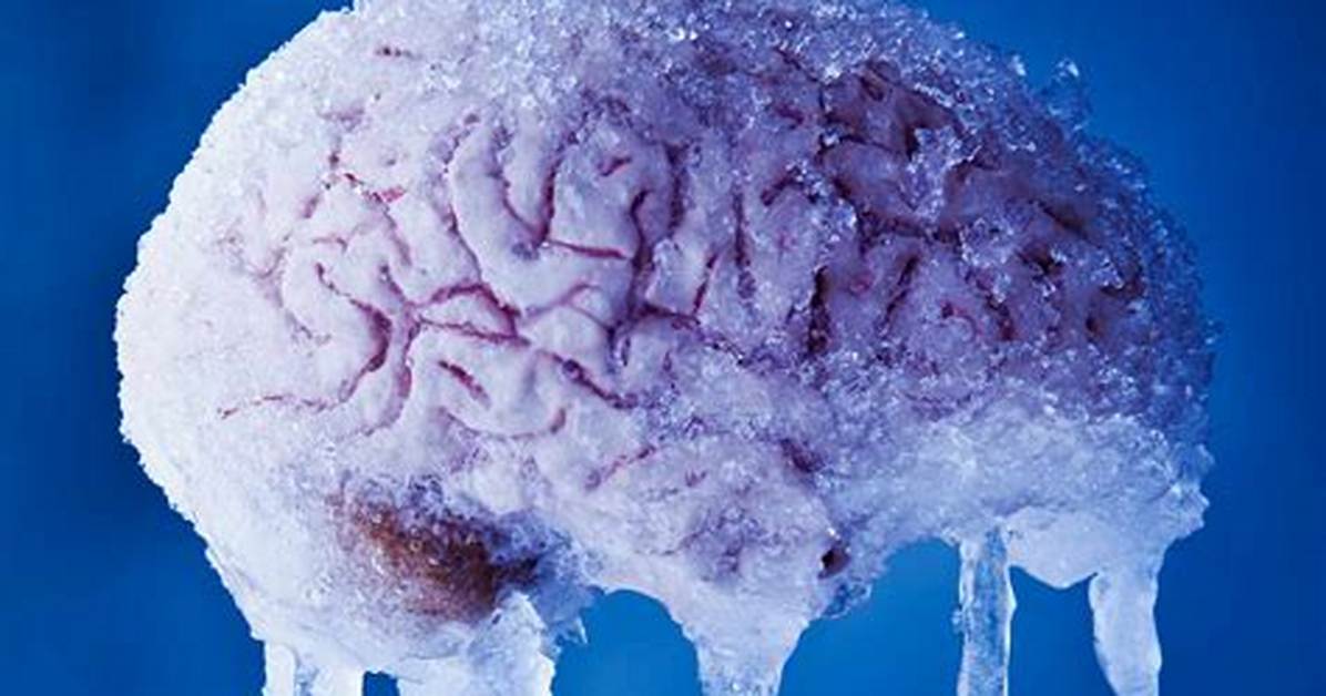 Why Your Brain Freezes How
