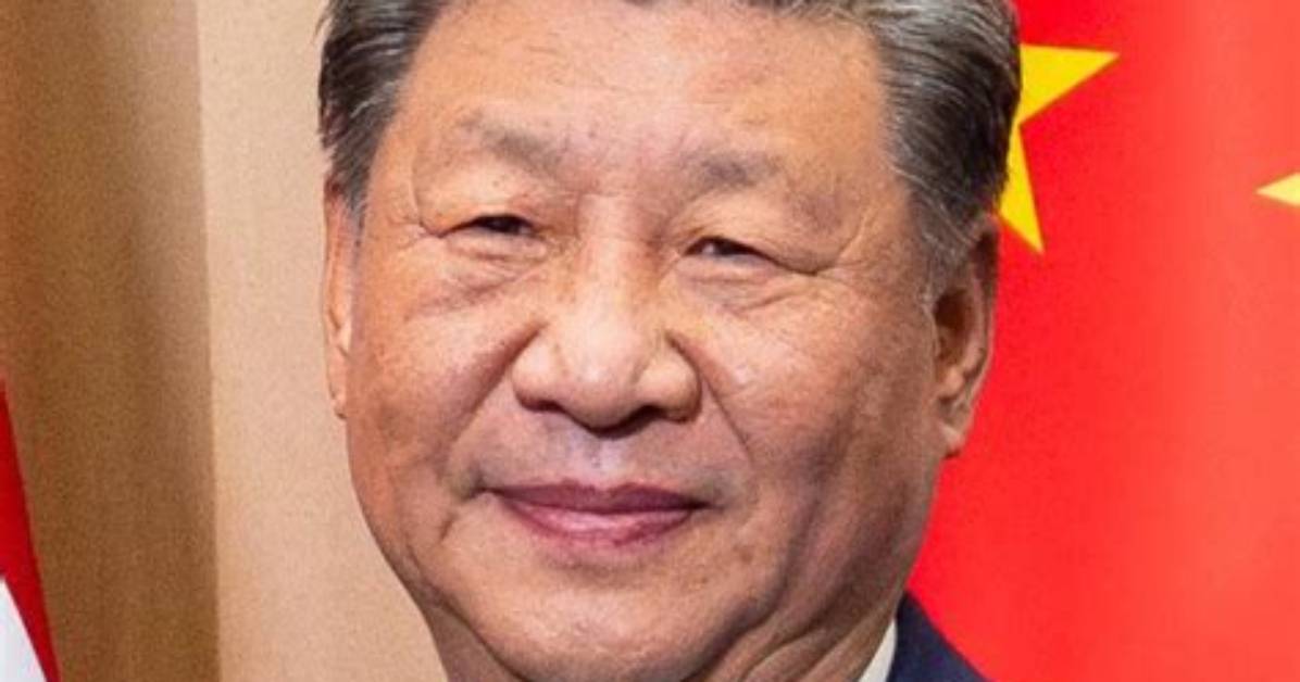 Zidomoni Wenkaretemo Ji Dadekiru Zheng Shuto Zi Ran Shuno Weii Wan Quan Gong Lue